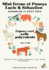 11 août 2024 – Mini ferme équestre et poneys