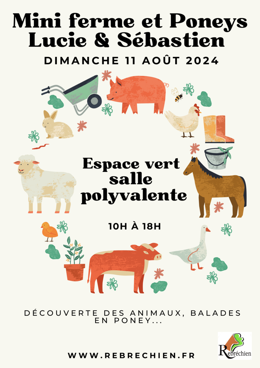 11 août 2024 – Mini ferme et poneys